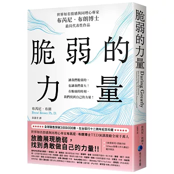 《脆弱的力量》書封
